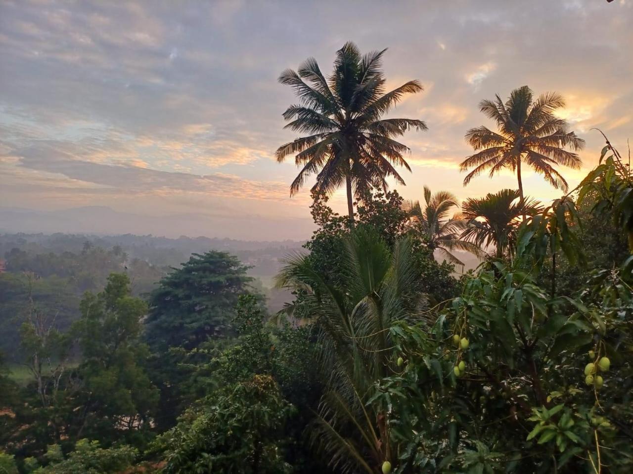 The Traveller Kandy Exterior foto